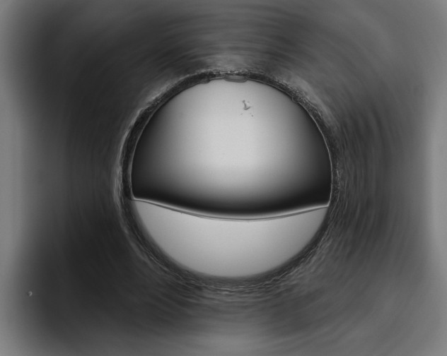 X0000094770488200711160833