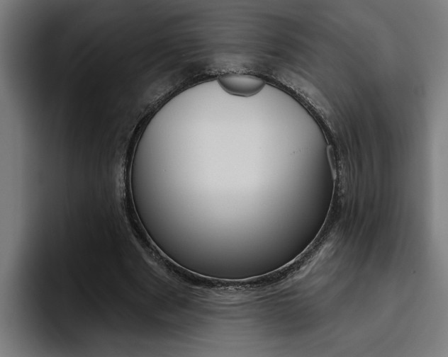 X0000094770489200711160833