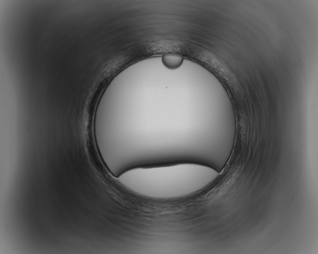 X0000094770490200711160833