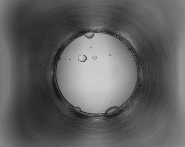 X0000094770495200711160833