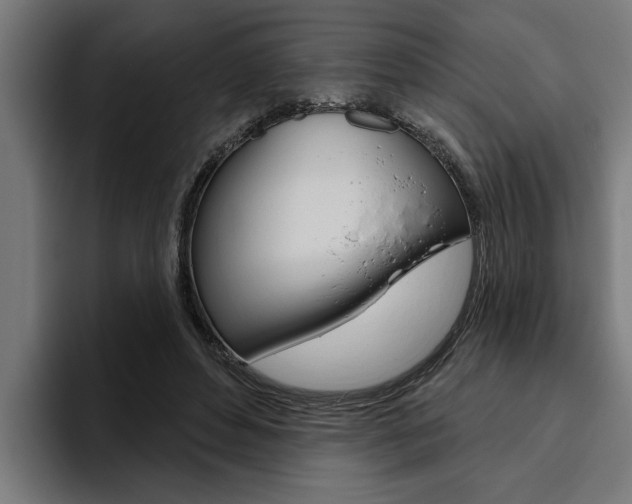 X0000094770496200711160833