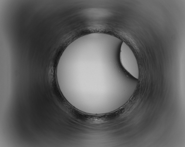X0000094770498200711160833