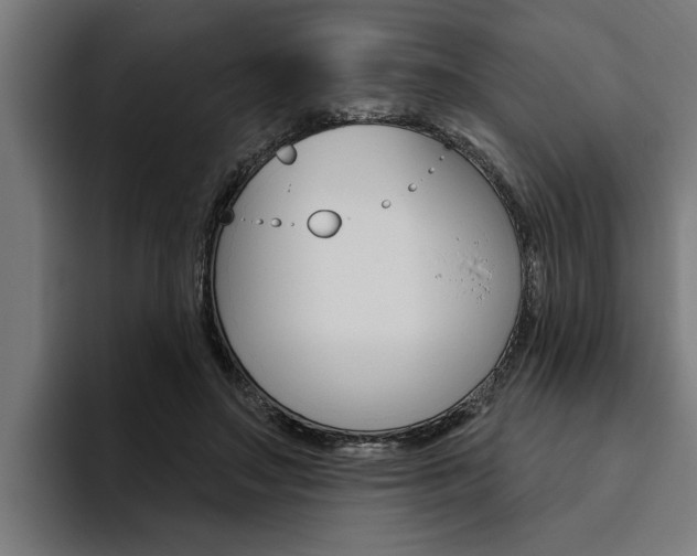X0000094770499200711160833