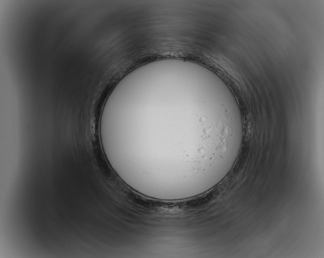 X0000094770502200711160833