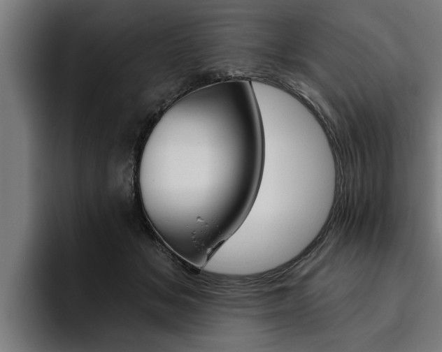 X0000094770509200711160833
