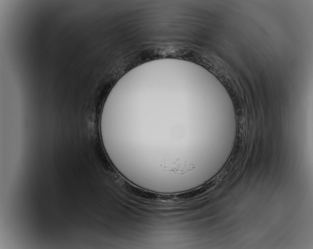 X0000094770510200711160833