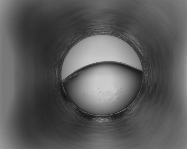 X0000094770512200711160833
