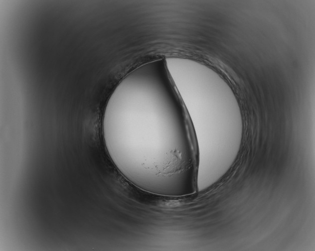 X0000094770513200711160833