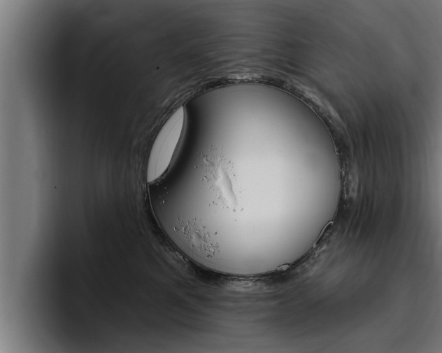 X0000094770521200711160833