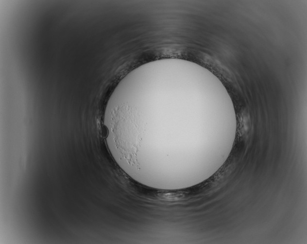 X0000094770522200711160833