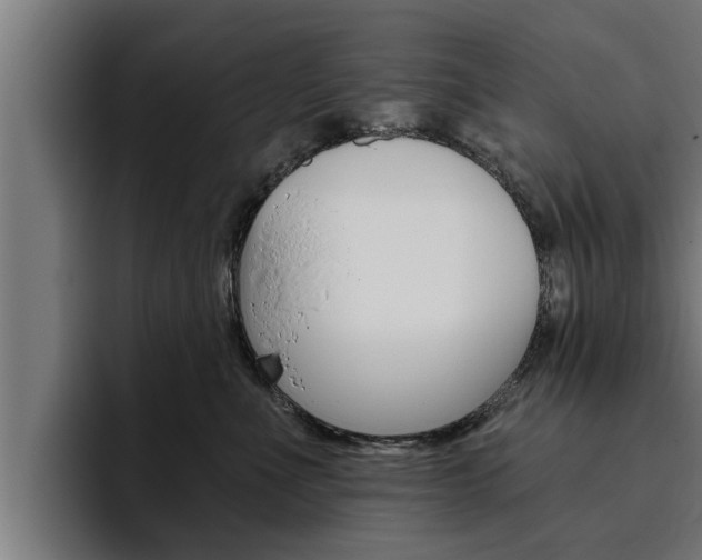 X0000094770523200711160833