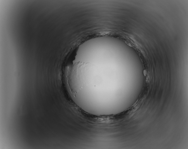 X0000094770524200711160833