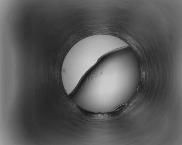 X0000094770525200711160833