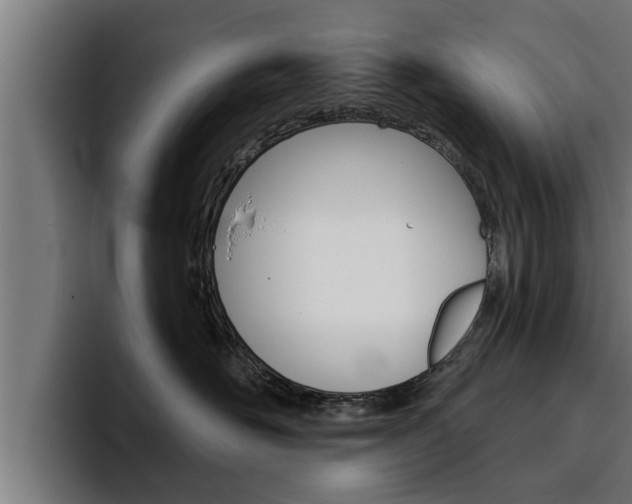 X0000094770526200711160833