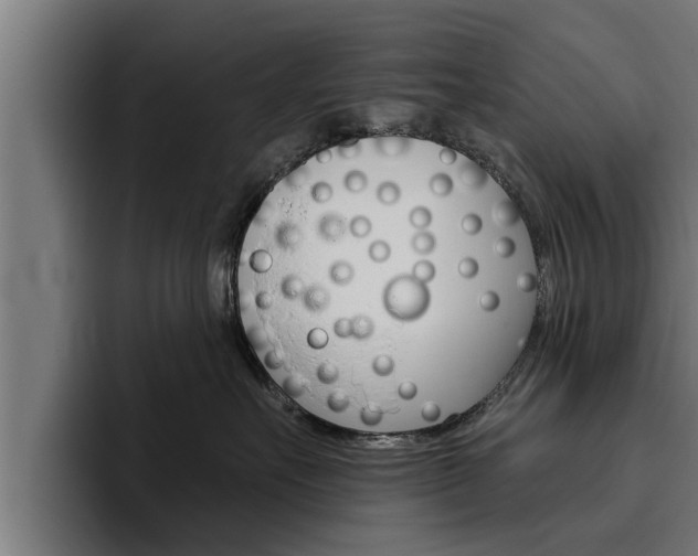 X0000094770527200711160833
