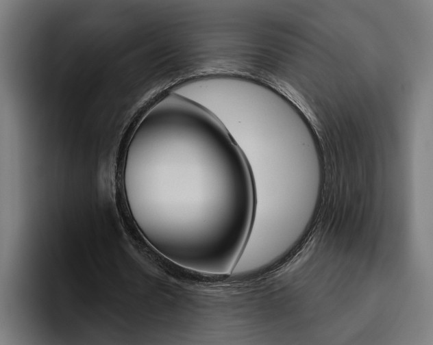 X0000094770530200711160832