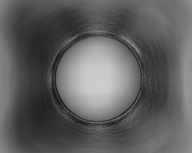 X0000094770533200711160832
