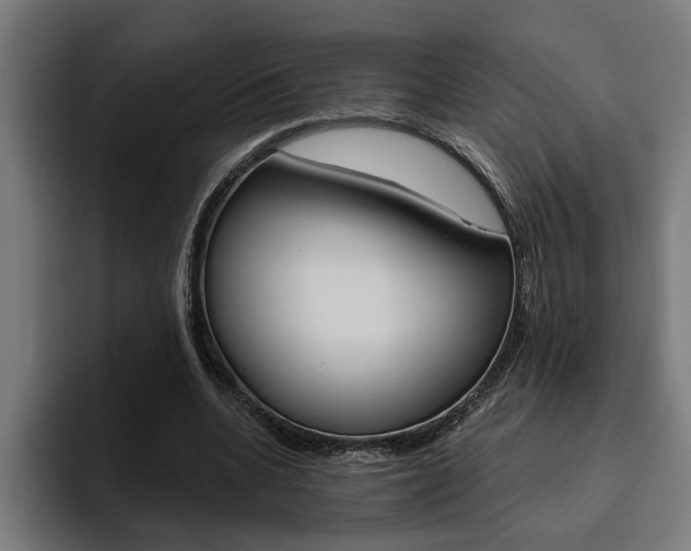 X0000094770536200711160832