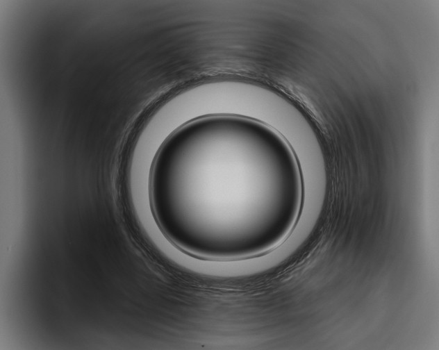 X0000094770539200711160832