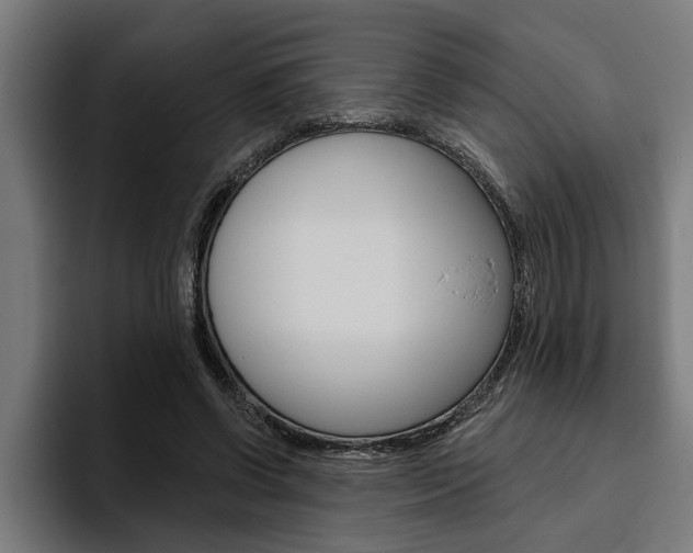 X0000094770542200711160832