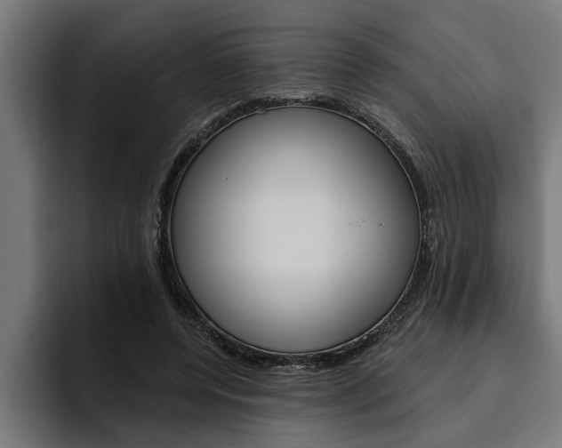 X0000094770544200711160832