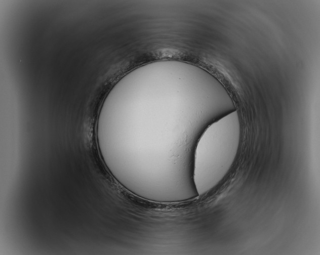 X0000094770545200711160832
