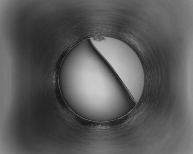 X0000094770546200711160832