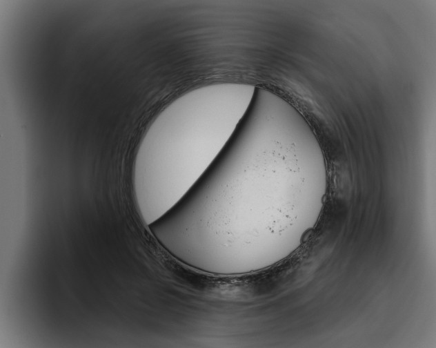 X0000094770550200711160832