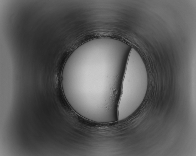 X0000094770551200711160832
