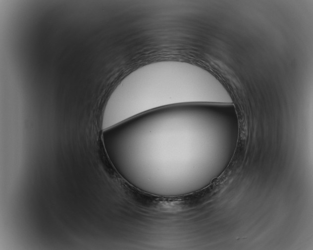 X0000094770560200711160832