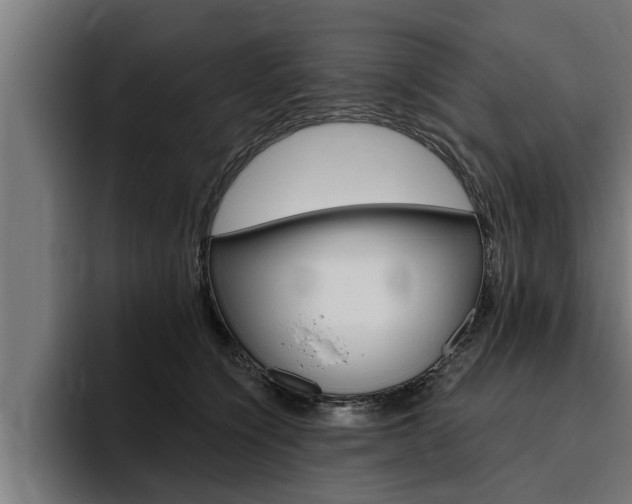 X0000094770564200711160832