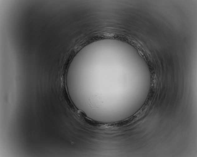 X0000094770568200711160832
