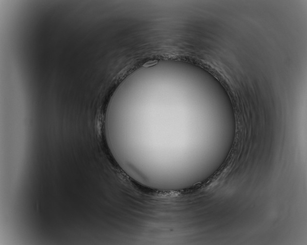 X0000094770576200711160833