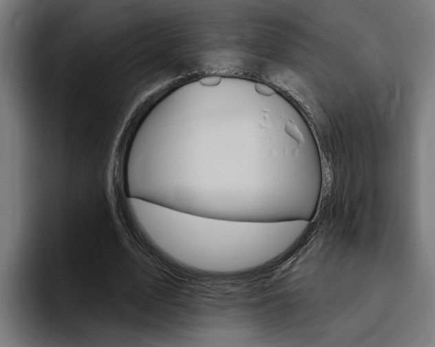 X0000094770583200711160832