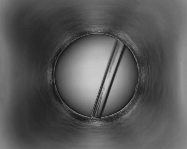X0000094770585200711160832