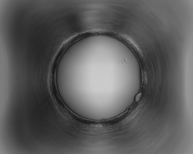 X0000094770588200711160832