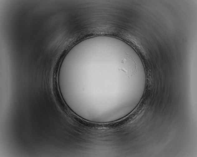 X0000094770590200711160832