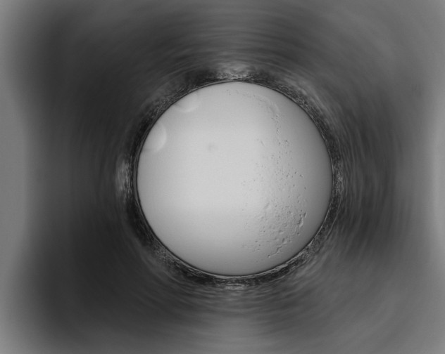 X0000094770598200711160832