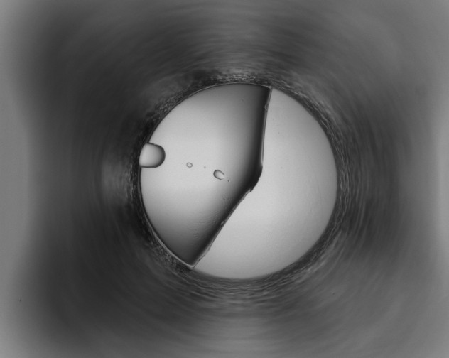 X0000094770599200711160832