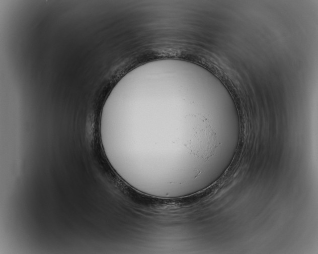 X0000094770600200711160832