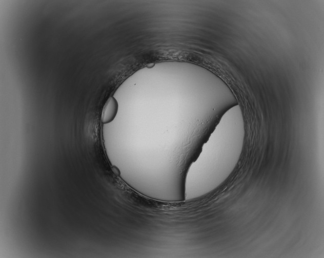 X0000094770602200711160832