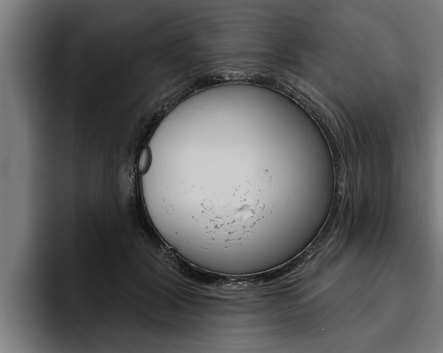 X0000094770604200711160832