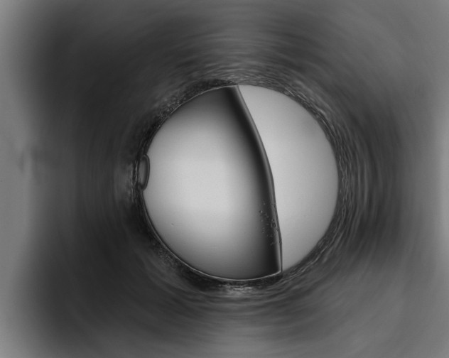 X0000094770605200711160832