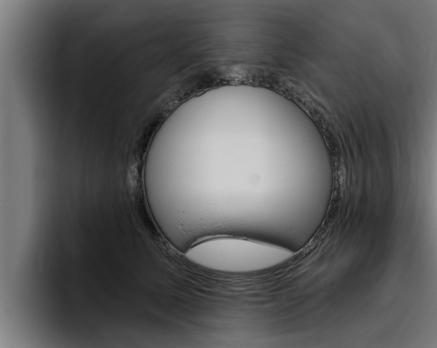 X0000094770611200711160831