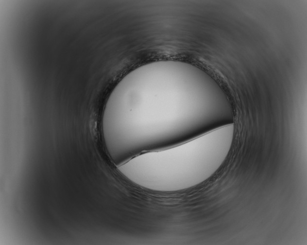 X0000094770615200711160831
