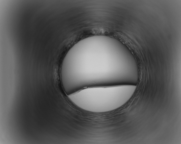 X0000094770616200711160831