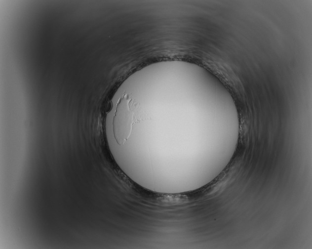 X0000094770623200711160831
