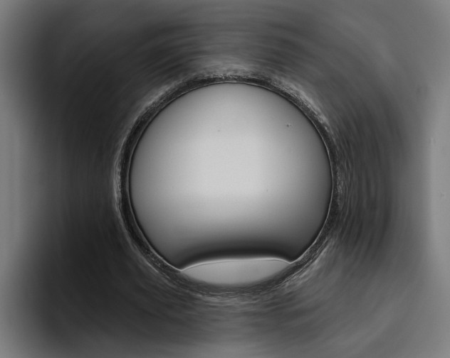 X0000094770629200711160831