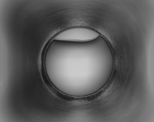 X0000094770630200711160831
