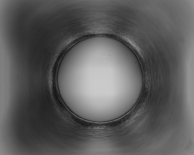 X0000094770631200711160831
